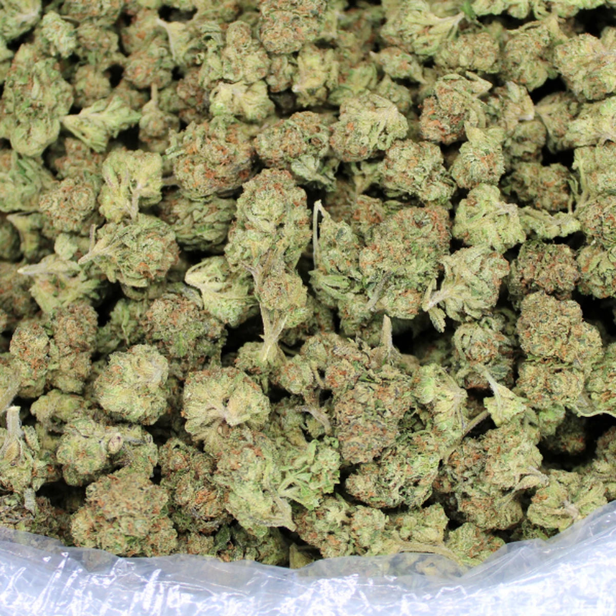 Ghost Candy premium THCA flower