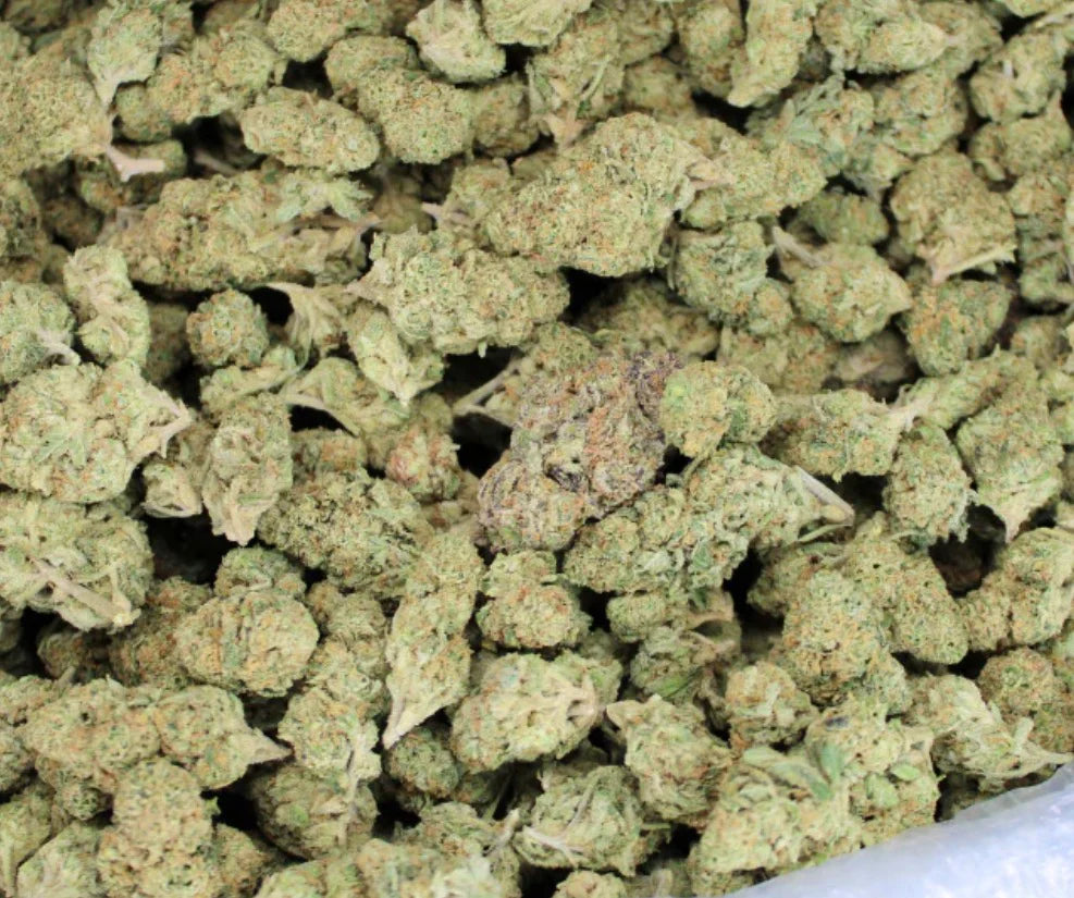 Sample + 7g Upgrade — Best First Order