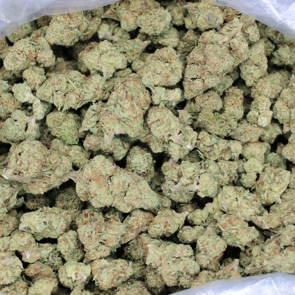 Blueberry Muffin THCA Flower buds