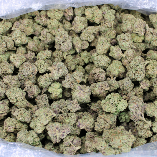 Grape Gasby THCA flower