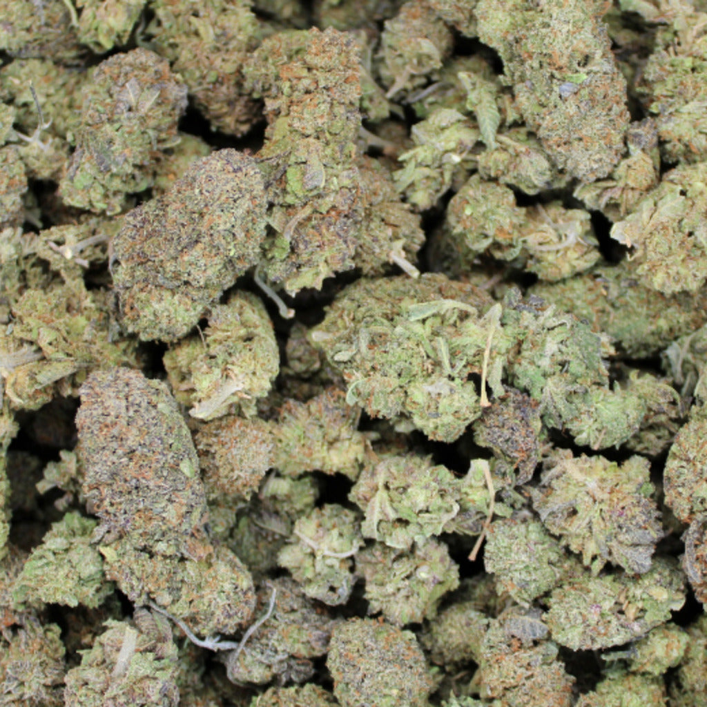 Runtz Angeles THCa flower close-up buds