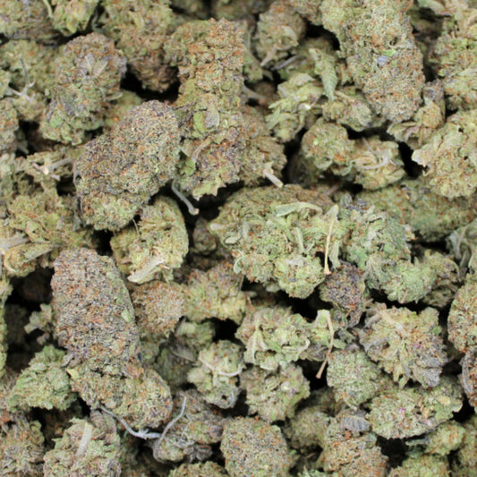 Runtz Angeles THCa flower close-up buds
