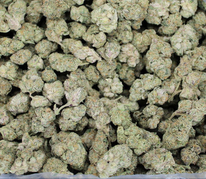 Tiger's Milk indoor THCa flower